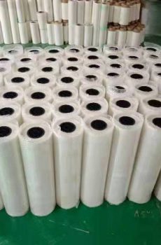 PET Film Roll